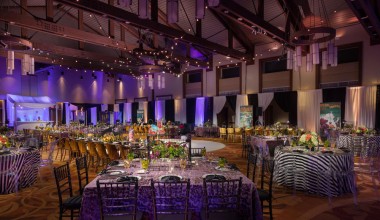 Ilea Gala2017 11